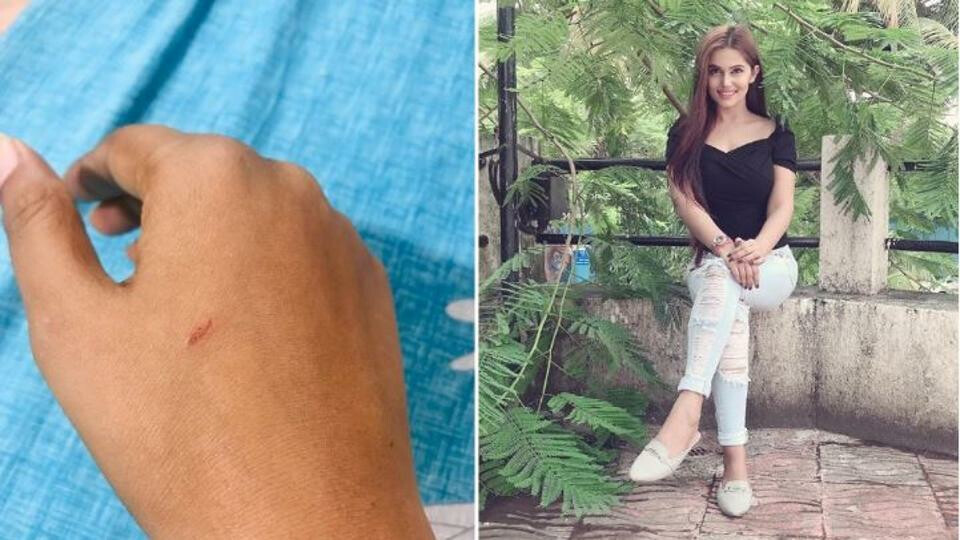 टीव्ही अभिनेत्रीसोबत गैरवर्तन केल्याप्रकरणी शाहरुखला अटक