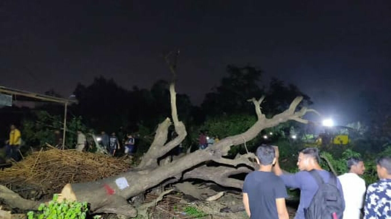 Aarey Forest Issue: Supreme Court extends the interim stay on the case