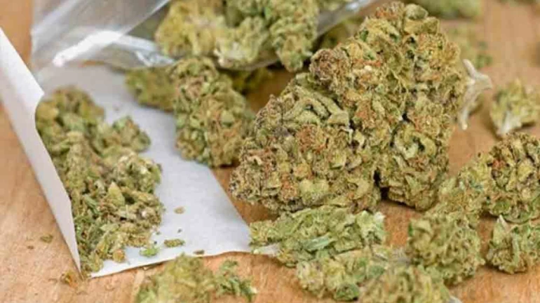 २२ किलो गांजासह ५ जणांना अटक २२ किलो गांजासह ५ जणांना अटक