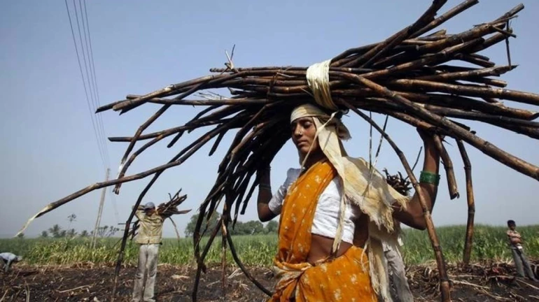 Here's Why Over 30,000 Women Have Got Their Uterus Removed Here's Why Over 30,000 Women Have Got Their Uterus Removed