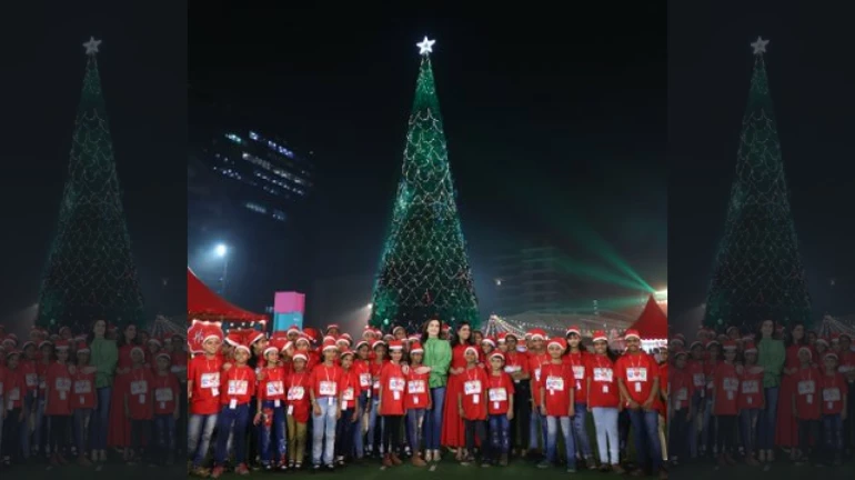 रिलायंस फाउंडेशन ने बनाया दुनिया का सबसे बड़ा क्रिसमस ट्री