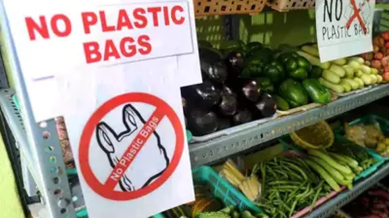 2019 in Review: Top Three Things That Got Banned This Year 2019 in Review: Top Three Things That Got Banned This Year