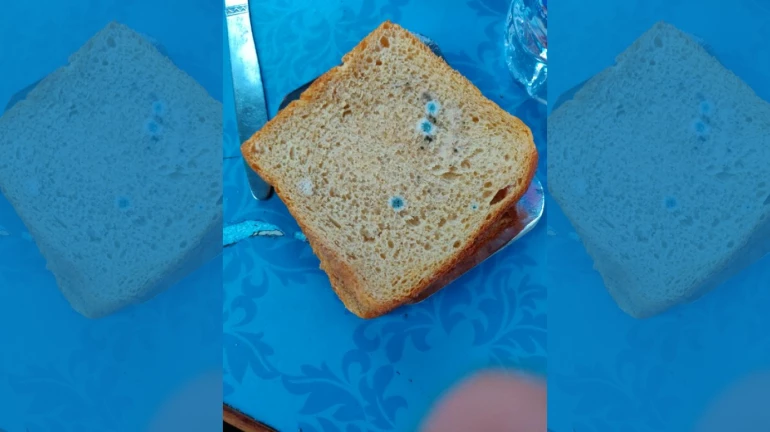 'या' एक्स्प्रेसमधील नाश्त्यामध्ये बुरशी आलेले ब्रेड-बटर 'या' एक्स्प्रेसमधील नाश्त्यामध्ये बुरशी आलेले ब्रेड-बटर