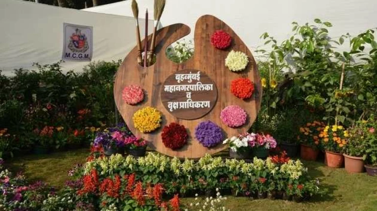 राणीच्या बागेत 'म्हातारीचा बूट', 'गेट वे ऑफ इंडिया' राणीच्या बागेत 'म्हातारीचा बूट', 'गेट वे ऑफ इंडिया'