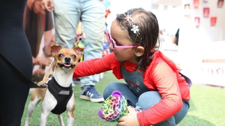 'इथं' भरते कुत्र्या-मांजरांची जत्रा 'इथं' भरते कुत्र्या-मांजरांची जत्रा