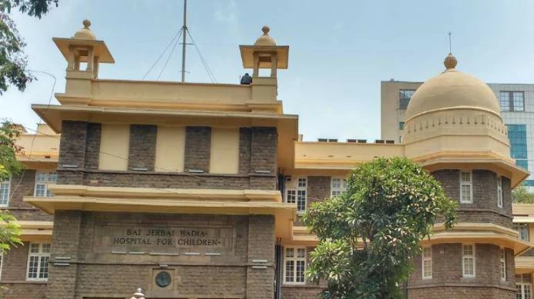 Mumbai Hospital performs its 1st cadaveric kidney transplant successfully Mumbai Hospital performs its 1st cadaveric kidney transplant successfully