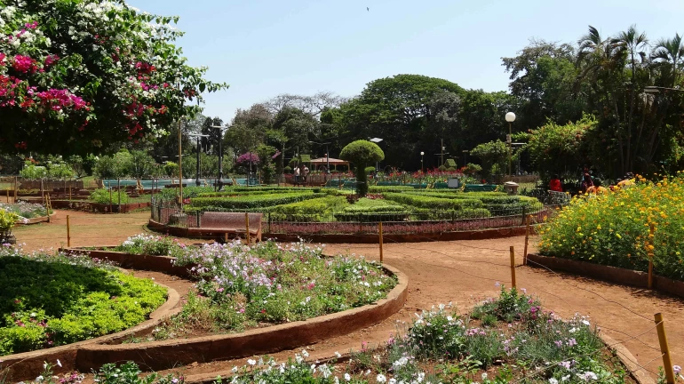 Here's How BMC Is Reviving Mumbai's Green Cover