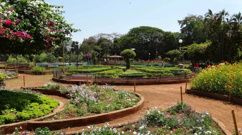 Here's How BMC Is Reviving Mumbai's Green Cover Here's How BMC Is Reviving Mumbai's Green Cover