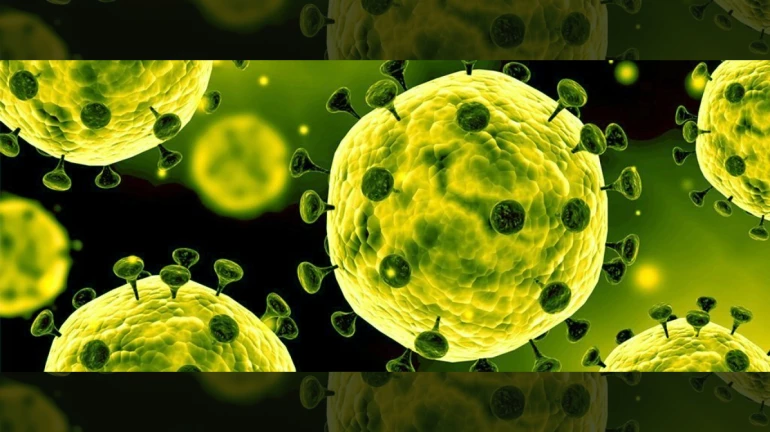 Steps to tackle Omicron spread in Maharashtra to be discussed by the cabinet on Dec 8 Steps to tackle Omicron spread in Maharashtra to be discussed by the cabinet on Dec 8