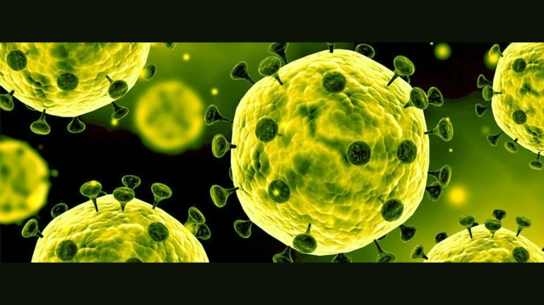 Four more Mumbaikars quarantined over coronavirus suspicion Four more Mumbaikars quarantined over coronavirus suspicion