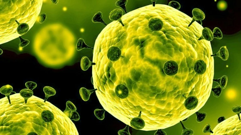 Covid-19: How prepared is Mumbai for this novel virus? Covid-19: How prepared is Mumbai for this novel virus?
