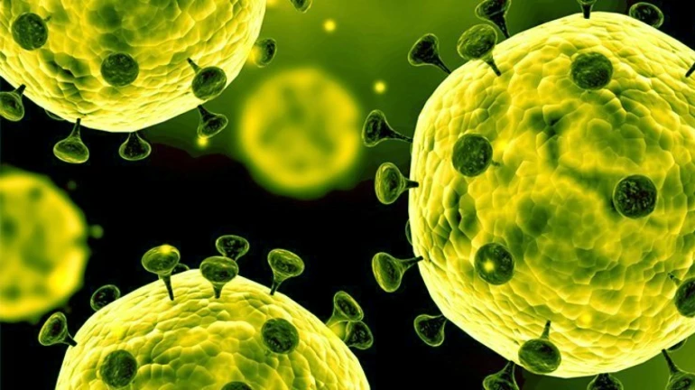 COVID-19: New Variant Eris Detected In Maharashtra, 16% Of Households Affected COVID-19: New Variant Eris Detected In Maharashtra, 16% Of Households Affected