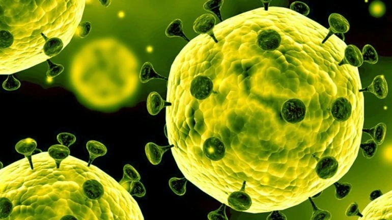 मुंबई-गोवा क्रूझवरील २००० पैकी ६६ प्रवासी पॉझिटिव्ह मुंबई-गोवा क्रूझवरील २००० पैकी ६६ प्रवासी पॉझिटिव्ह