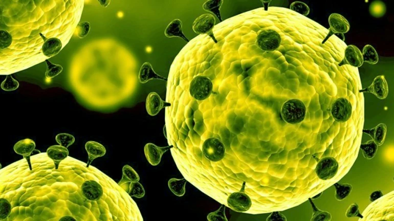 Mumbai: Study Says That COVID-19 Resulted In Greater Fatalities Amongst Senior Citizens In Contrast To Other Age Groups Mumbai: Study Says That COVID-19 Resulted In Greater Fatalities Amongst Senior Citizens In Contrast To Other Age Groups