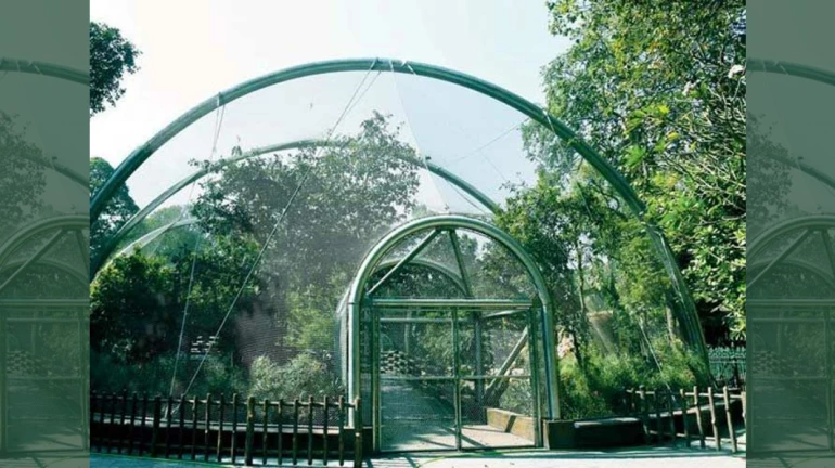 जीजामात उद्यान में वॉक-थ्रू' एवियरी की शुरुआत जीजामात उद्यान में वॉक-थ्रू' एवियरी की शुरुआत