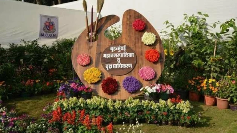 राणी बागेत पाहायला मिळणार भारतातील पहिली ट्राम राणी बागेत पाहायला मिळणार भारतातील पहिली ट्राम