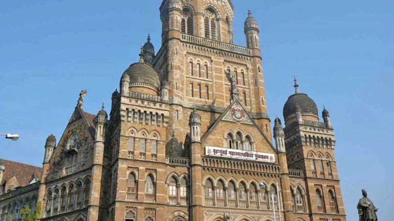 महापालिका अर्थसंकल्प २०२०-२१: मुंबईकरांना काय मिळणार? महापालिका अर्थसंकल्प २०२०-२१: मुंबईकरांना काय मिळणार?