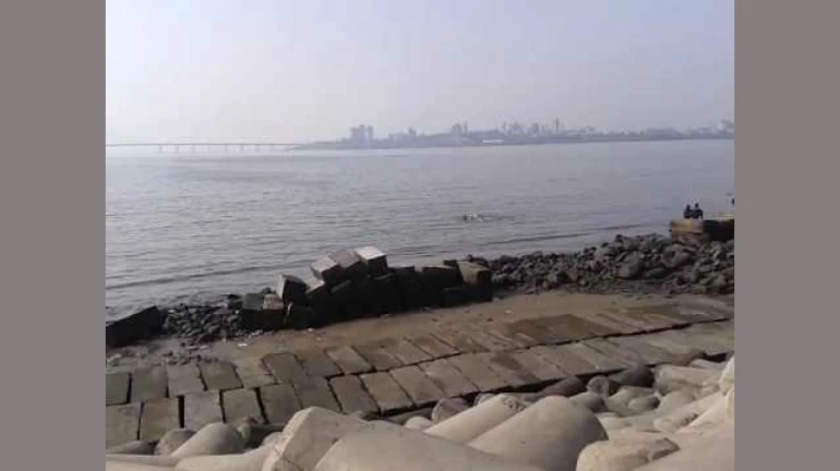 दादर चौपाटी, वरळी किल्ल्याचं होणार सुशोभीकरण दादर चौपाटी, वरळी किल्ल्याचं होणार सुशोभीकरण