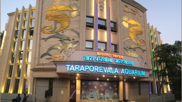 Mumbai's Iconic Taraporewala Aquarium's Fate Remains Uncertain