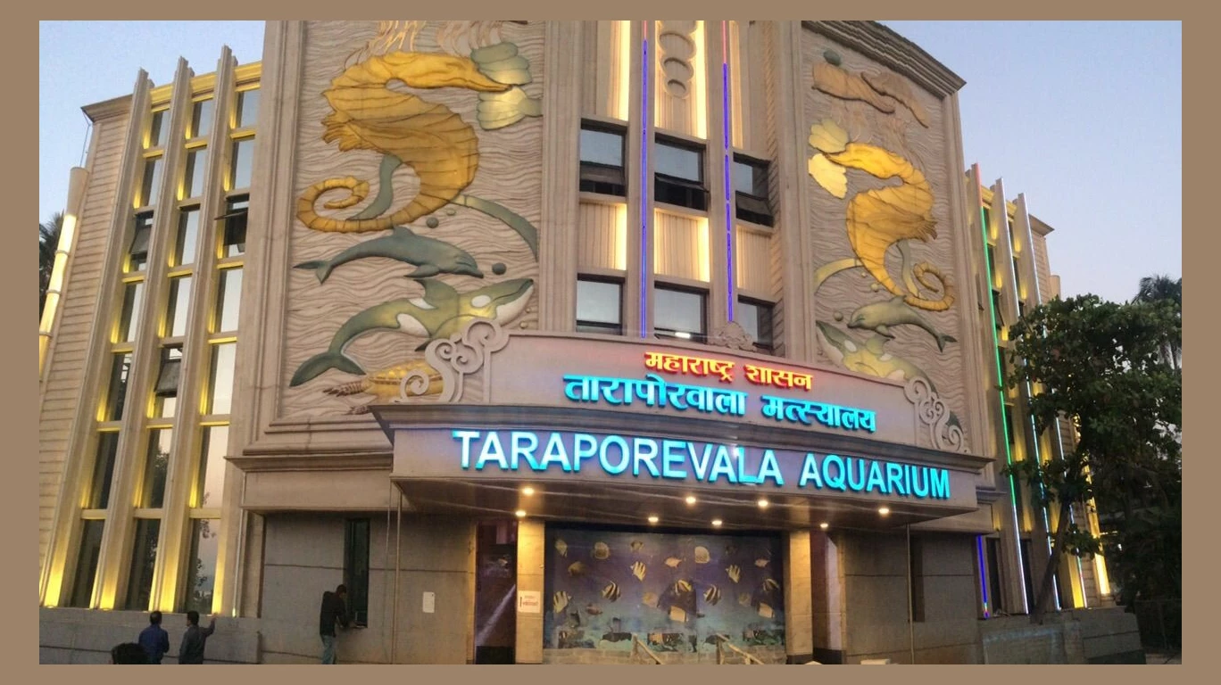 Main reasons behind the closure