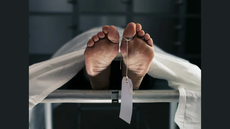 मोकाट कुत्र्याला सांभाळणं महिलेच्या बेतलं जीवावर; महिलांनी केलेल्या मारहाणीत मृत्यू मोकाट कुत्र्याला सांभाळणं महिलेच्या बेतलं जीवावर; महिलांनी केलेल्या मारहाणीत मृत्यू