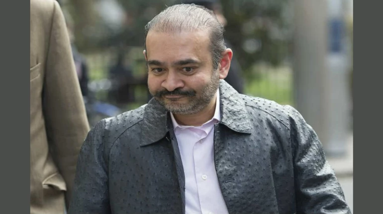 नीरव मोदीच्या संपतीचा या दिवशी होणार लिलाव नीरव मोदीच्या संपतीचा या दिवशी होणार लिलाव