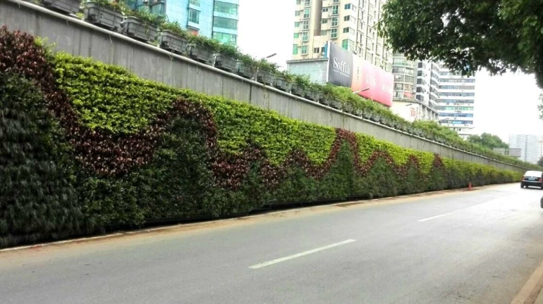 BMC to set up vertical garden near Shivaji Park BMC to set up vertical garden near Shivaji Park
