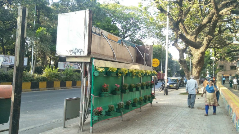 This is how BMC's Vertical Garden At Shivaji Park Looks