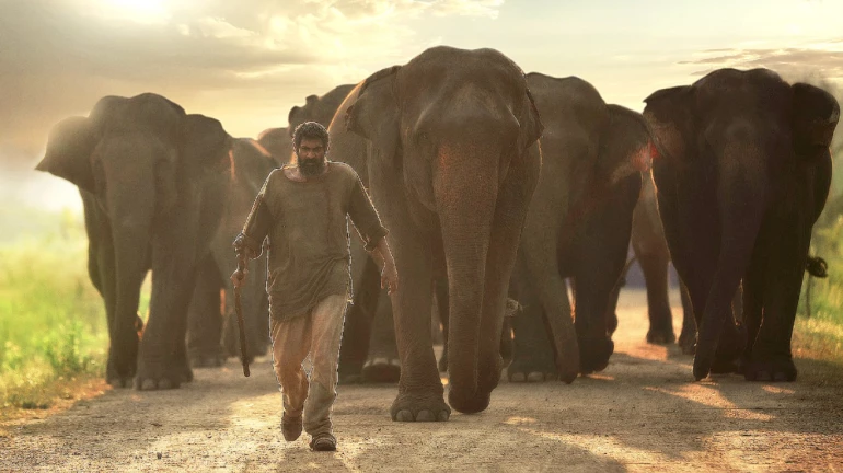 'हाथी मेरे साथी' के साथ नए साल की धमाकेदार शुरुआत 'हाथी मेरे साथी' के साथ नए साल की धमाकेदार शुरुआत