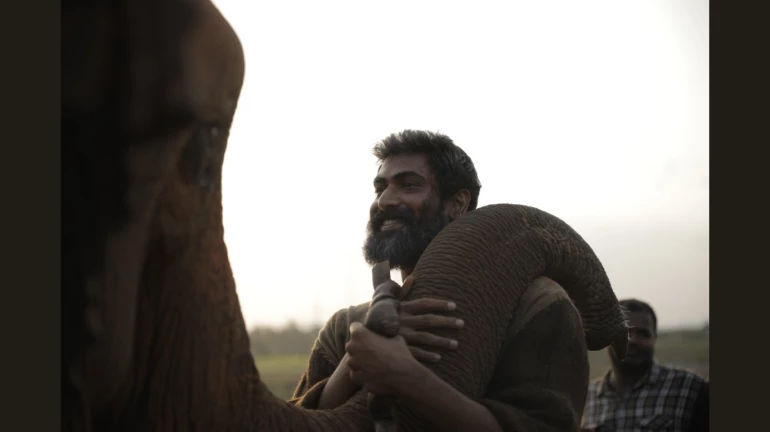 भल्लालदेव उर्फ राणा दग्गुबाती के ऊपर जब हाथी ने रख दी 200 किलो वजनी सूंड भल्लालदेव उर्फ राणा दग्गुबाती के ऊपर जब हाथी ने रख दी 200 किलो वजनी सूंड