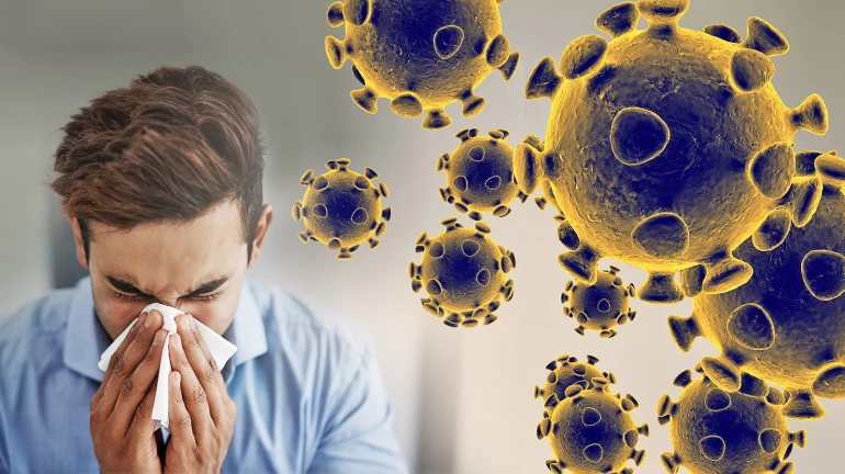 Coronavirus Update: Hawker in Mumbai's Prabhadevi tested positive for COVID-19 Coronavirus Update: Hawker in Mumbai's Prabhadevi tested positive for COVID-19