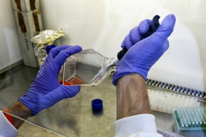 coronavirus update: धक्कादायक! कल्याणमधील ३ वर्षांच्या मुलीलाही कोरोना, वडिलांमुळे झाला संसर्ग