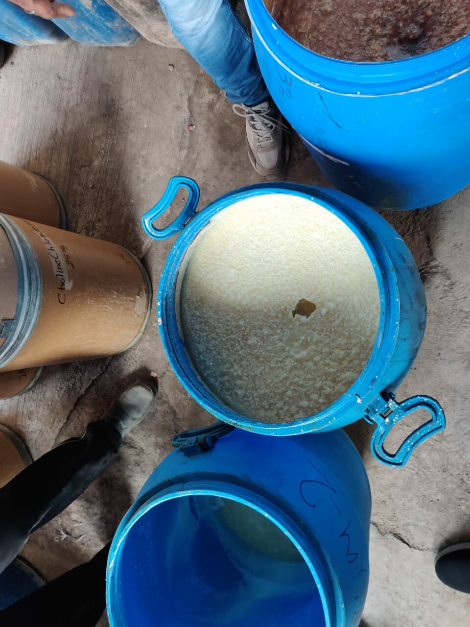 पालघर येथील ड्रग्सचा कारखाना उद्धवस्त, 483 किलो एफिड्रीन ड्रग्जचा साठा जप्त