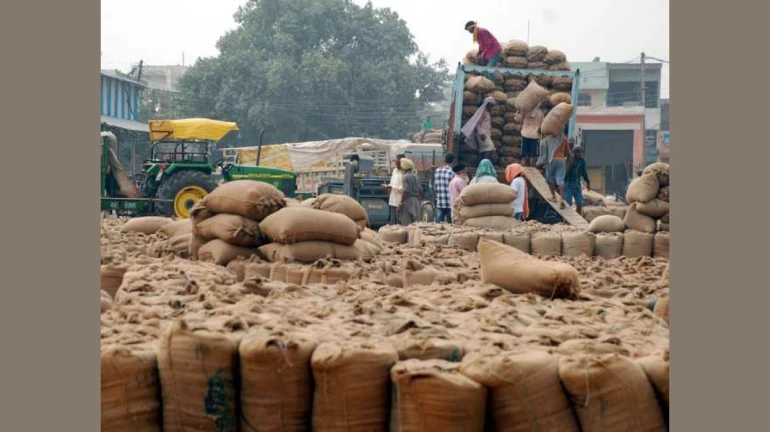 चिंता नको, २ रुपये किलो दराने गहू, तर ३ रुपयांना तांदूळ मिळणार! चिंता नको, २ रुपये किलो दराने गहू, तर ३ रुपयांना तांदूळ मिळणार!