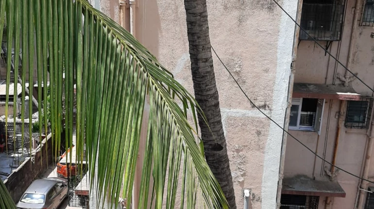 One coronavirus case reported in Dadar's Shivaji Park; officials seal the building One coronavirus case reported in Dadar's Shivaji Park; officials seal the building