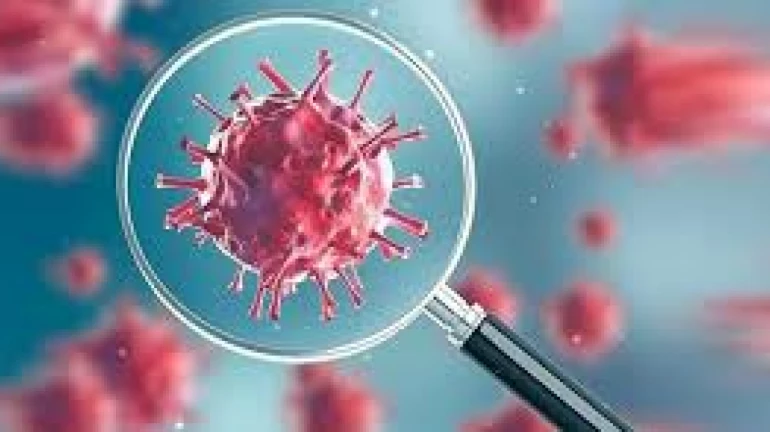 Coronavirus update : मुंबई का यह इलाका सबसे खतरनाक Coronavirus update : मुंबई का यह इलाका सबसे खतरनाक
