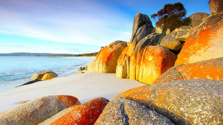 Quarantine or Your Own Time Quarantine or Your Own Time