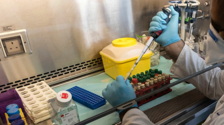 राज्यात कोरोनाचे 771 नवे रुग्ण, 24 तासात 35 जणांचा मृत्यू राज्यात कोरोनाचे 771 नवे रुग्ण, 24 तासात 35 जणांचा मृत्यू