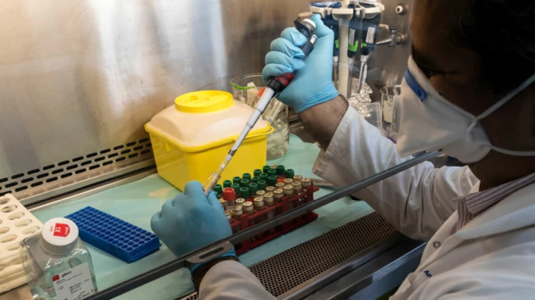 राज्यात कोरोना बाधित रुग्णांची संख्या 10 हजार 498 वर राज्यात कोरोना बाधित रुग्णांची संख्या 10 हजार 498 वर