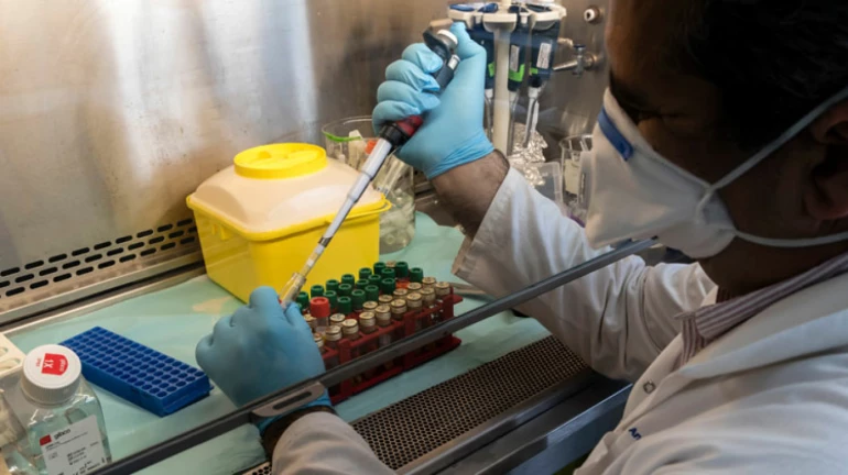 दहिसर, बोरीवली, कांदिवली और मलाड में किस इलाके में कितने मरीज, देखें यहा दहिसर, बोरीवली, कांदिवली और मलाड में किस इलाके में कितने मरीज, देखें यहा