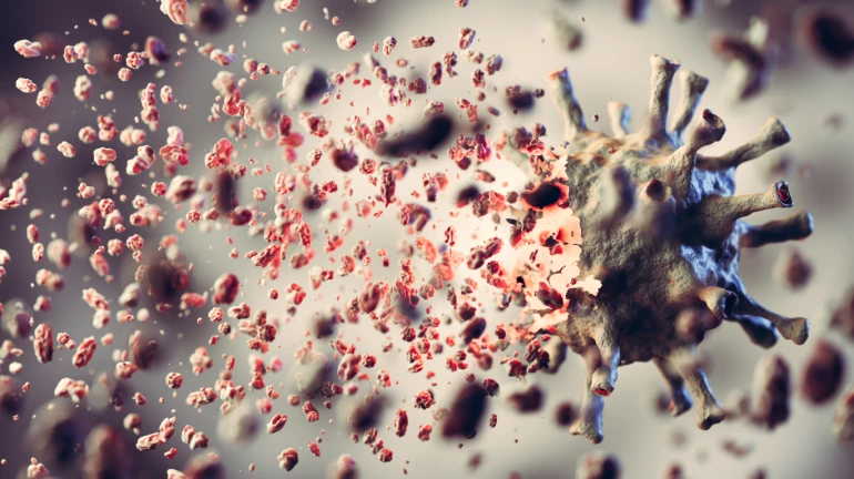 Coronavirua Updates: माहीम, दादरमध्ये ४२ नवे कोरोनाबाधित Coronavirua Updates: माहीम, दादरमध्ये ४२ नवे कोरोनाबाधित