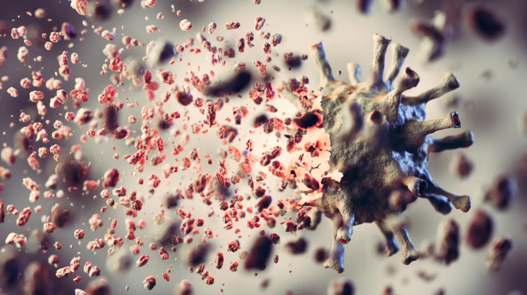 कोरोना वायरस - महाराष्ट्र सरकार ने आयुर्वेदिक इलाज के अभ्यास के लिए बनाई समिति कोरोना वायरस - महाराष्ट्र सरकार ने आयुर्वेदिक इलाज के अभ्यास के लिए बनाई समिति