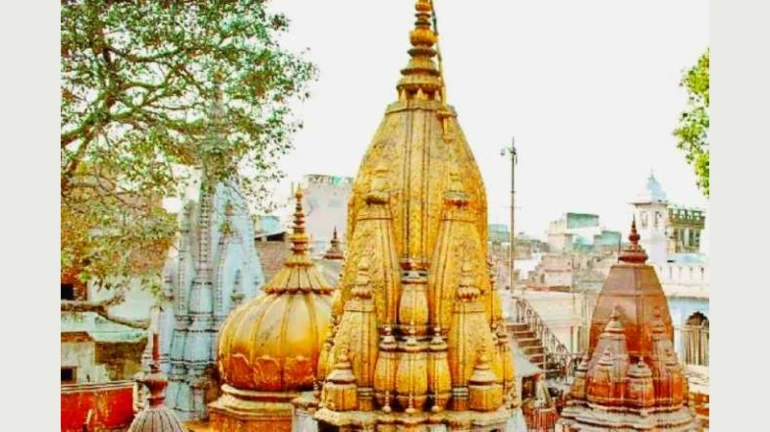 सल्ला केंद्राला मिरची झोंबली दुसऱ्यांना, पृथ्वीराज चव्हाणांना श्री काशी विश्वनाथ मंदिरात आजीवन बंदी सल्ला केंद्राला मिरची झोंबली दुसऱ्यांना, पृथ्वीराज चव्हाणांना श्री काशी विश्वनाथ मंदिरात आजीवन बंदी