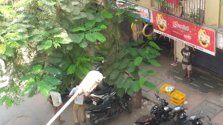 कोरोना वायरस से तैयारी के लिए मीरा भायंदर को मिले 15 करोड़ कोरोना वायरस से तैयारी के लिए मीरा भायंदर को मिले 15 करोड़