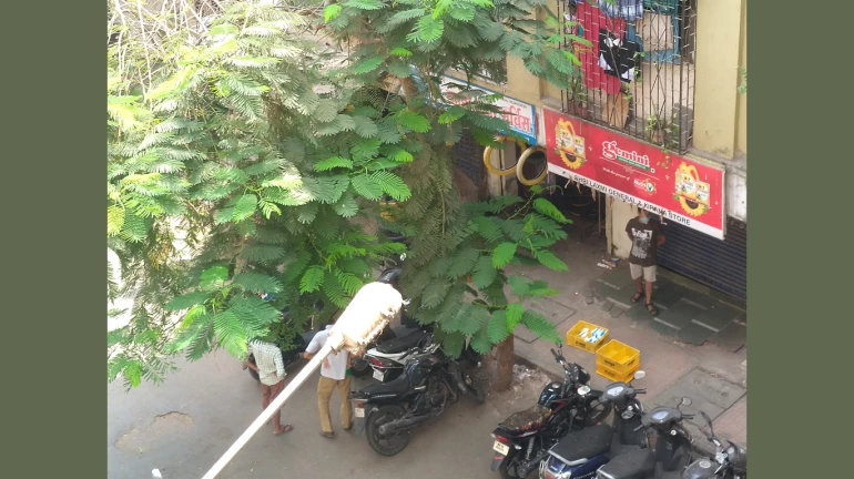 मीरा-भायंदर में COVID-19 काँटेन्मेंट ज़ोन की लिस्ट मीरा-भायंदर में COVID-19 काँटेन्मेंट ज़ोन की लिस्ट