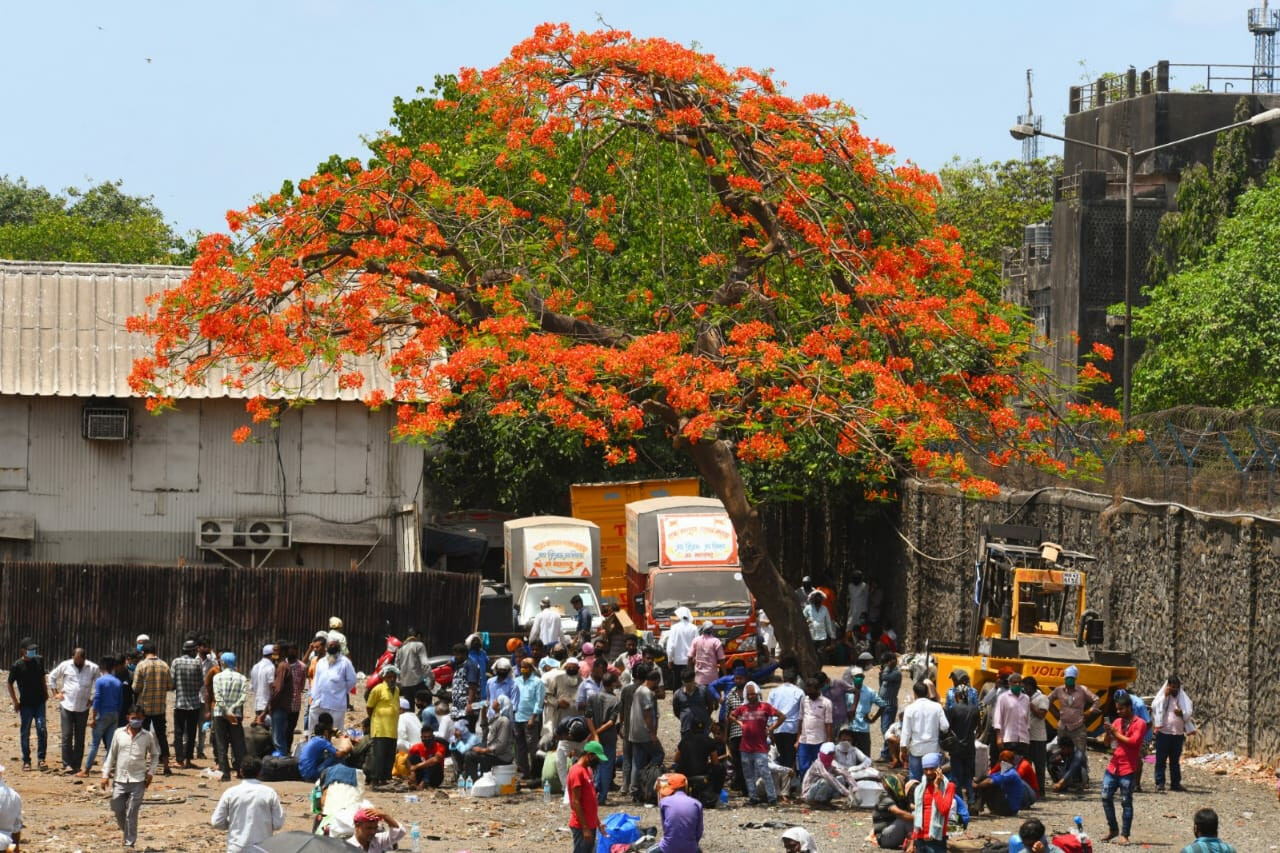 मजदूरो के पलायन के बीच मुख्यमंत्री ने किया लॉकडाउन के खबरों का खंडन