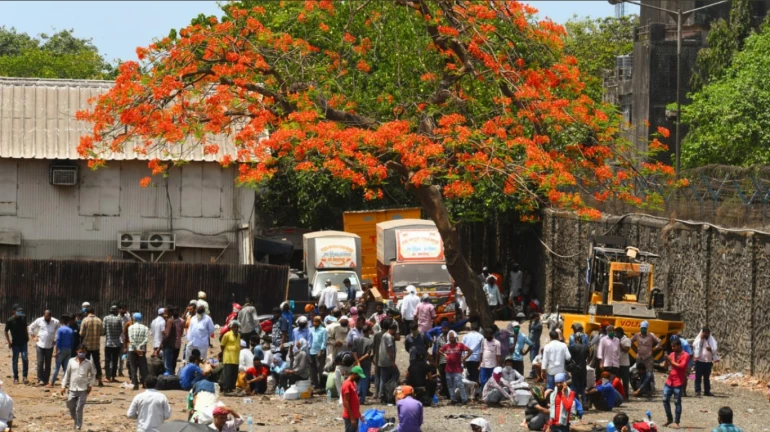 मजदूरो के पलायन के बीच मुख्यमंत्री ने किया लॉकडाउन के खबरों का खंडन मजदूरो के पलायन के बीच मुख्यमंत्री ने किया लॉकडाउन के खबरों का खंडन