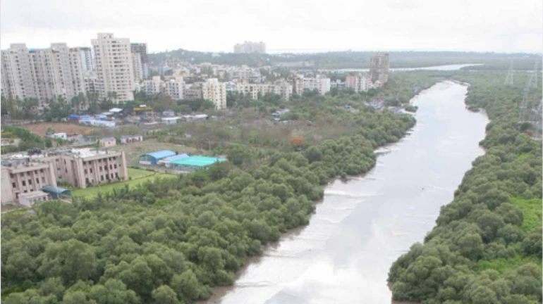 Drone inspection of rivers and nullahs begins in Mumbai Drone inspection of rivers and nullahs begins in Mumbai