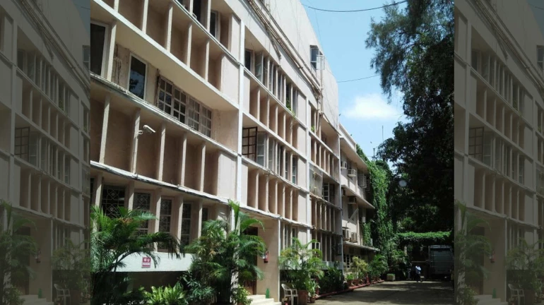 मेहबूब स्टुडिओ, झेवियर्स कॉलेज पालिकेच्या ताब्यात, इथंही १००० बेड्सची व्यवस्था मेहबूब स्टुडिओ, झेवियर्स कॉलेज पालिकेच्या ताब्यात, इथंही १००० बेड्सची व्यवस्था