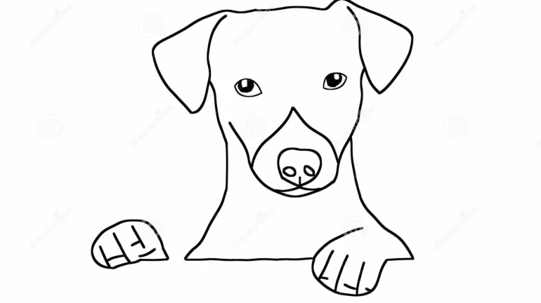 Ujjain Police arrest Mumbai teens who were accused of drowning a dog Ujjain Police arrest Mumbai teens who were accused of drowning a dog